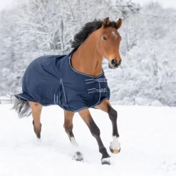 WALDHAUSEN Couverture extérieur cheval doublée polaire Economic Clip'in system -< Couvertures D'Extérieur Cheval