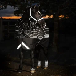 HORSEWARE Couverture extérieur cheval avec couvre-cou réfléchissante Amigo Reflectech Plus 50g -< Couvertures D'Extérieur Cheval