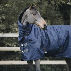 KENTUCKY HORSEWEAR Couverture extérieur cheval 300g All Weather Pro - Kentucky< Couvertures D'Extérieur Cheval