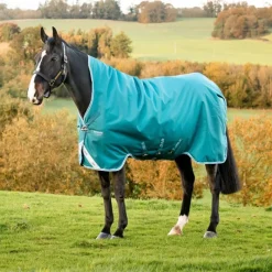 HORSEWARE Couverture extérieur cheval 250g Amigo Bravo 12 Wug -< Couvertures D'Extérieur Cheval