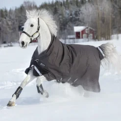 HORSEWARE Couverture extérieur cheval 250g Amigo Bravo 12 Wug -< Couvertures D'Extérieur Cheval