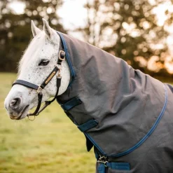 HORSEWARE Couverture extérieur cheval avec couvre cou Rhino Hexstop 250gr -< Couvertures D'Extérieur Cheval