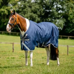 HORSEWARE Couverture extérieur cheval Amigo 0g -< Couvertures D'Extérieur Cheval