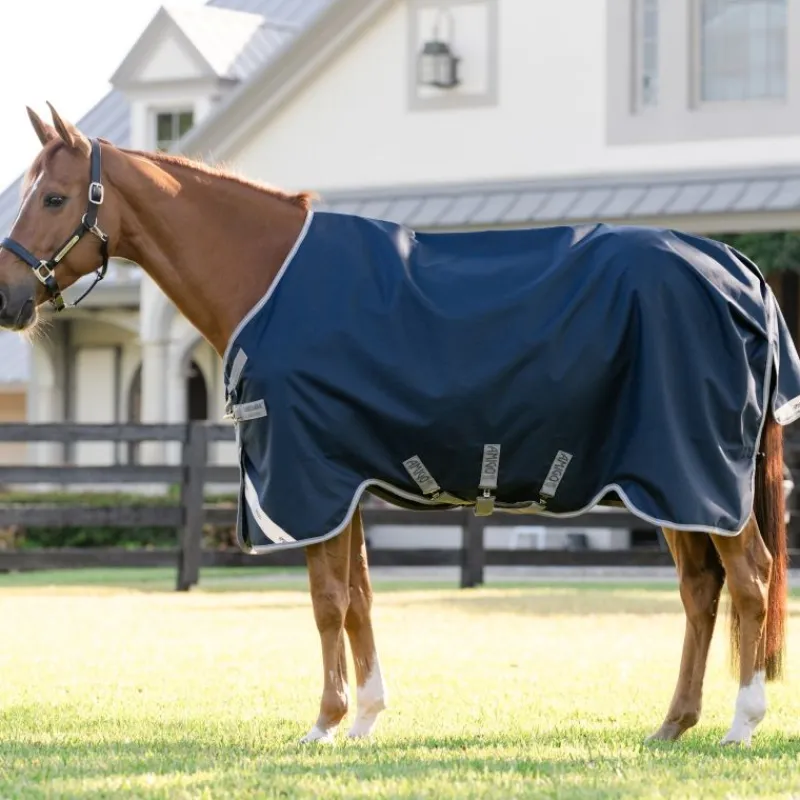 HORSEWARE Couverture extérieur cheval Amigo 0g -< Couvertures D'Extérieur Cheval