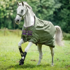 HORSEWARE Couverture extérieur cheval avec couvre-cou Amigo Hero Ripstop Lite 0g -< Couvertures D'Extérieur Cheval