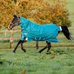 HORSEWARE Couverture extérieur cheval 400g avec cou Amigo Bravo 12 Plus Heavy -< Couvertures D'Extérieur Cheval