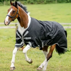 HORSEWARE Couverture extérieur cheval Amigo 250g -< Couvertures D'Extérieur Cheval