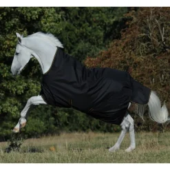 BUCAS Couverture extérieur cheval 300g encolure haute Irish Turnout Extra -< Couvertures D'Extérieur Cheval