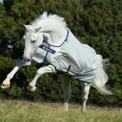 BUCAS Couverture extérieur cheval thermorégulante Power Turnout 0gr -< Couvertures D'Extérieur Cheval