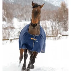 BUCAS Couverture extérieur cheval 50g Irish Turnout Light -< Couvertures D'Extérieur Cheval