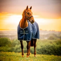 HORSEWARE Couverture extérieur poney Amigo Ripstop 50g 900 deniers -< Couvertures D'Extérieur Cheval