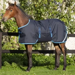HORSEWARE Couverture extérieur poulain Amigo Foal 200g -< Couvertures D'Extérieur Cheval