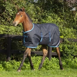 HORSEWARE Couverture extérieur poulain Amigo Foal 200g -< Couvertures D'Extérieur Cheval