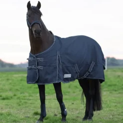 WALDHAUSEN Couverture extérieure cheval 50g Economic Clip'in -< Couvertures D'Extérieur Cheval
