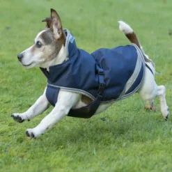 BUCAS Couverture imperméable chien Freedom 150g -< Manteau Pour Chien