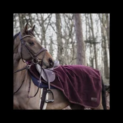 KENTUCKY HORSEWEAR Couvre reins cheval Heavy Fleece - Kentucky< Couvre-Reins Et Couvertures De Marcheur