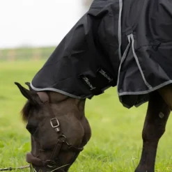PRO-CONFORT HORSEWEAR Couvre-cou cheval Muze 200g -< Couvre-Cou Cheval