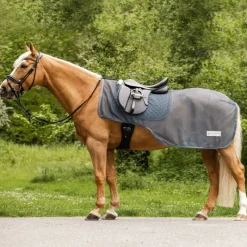 WALDHAUSEN Couvre-reins anti-mouche cheval Comfort -< Couvre-Reins Et Couvertures De Marcheur|Couvertures Anti-Mouche Cheval