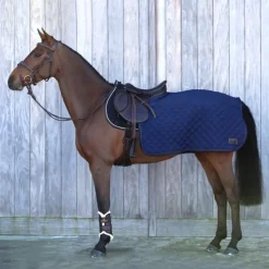 KENTUCKY HORSEWEAR Couvre-reins cheval carré dressage 160g - Kentucky< Couvre-Reins Et Couvertures De Marcheur