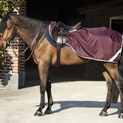 HORSEWARE Couvre-reins cheval doublé Amigo Competition -< Couvre-Reins Et Couvertures De Marcheur