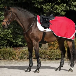 HORSEWARE Couvre-reins cheval doublé Amigo Competition -< Couvre-Reins Et Couvertures De Marcheur