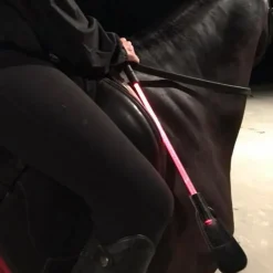 HARRY'S HORSE Cravache lumineuse led 3 couleurs - Equizor< Accessoires De Randonnée|Cravaches Et Sticks