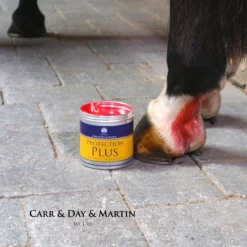 CARR AND DAY AND MARTIN Crème apaisante et protectrice plaies et gale de boue cheval Protection Plus - Carr & Day & Martin< Désinfectant Et Cicatrisant Cheval|Produits Gale De Boue Et Crevasses Cheval