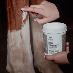 EKINAT Crème réparatrice cicatrisant cheval bio -< Equipement Concours|Désinfectant Et Cicatrisant Cheval