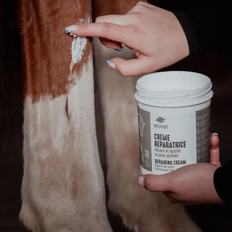 EKINAT Crème réparatrice cicatrisant cheval bio -< Equipement Concours|Désinfectant Et Cicatrisant Cheval