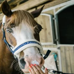 RAVENE Crème solaire cheval Sun Protec 150 ml -< Equipement Concours|Crème Solaire Cheval