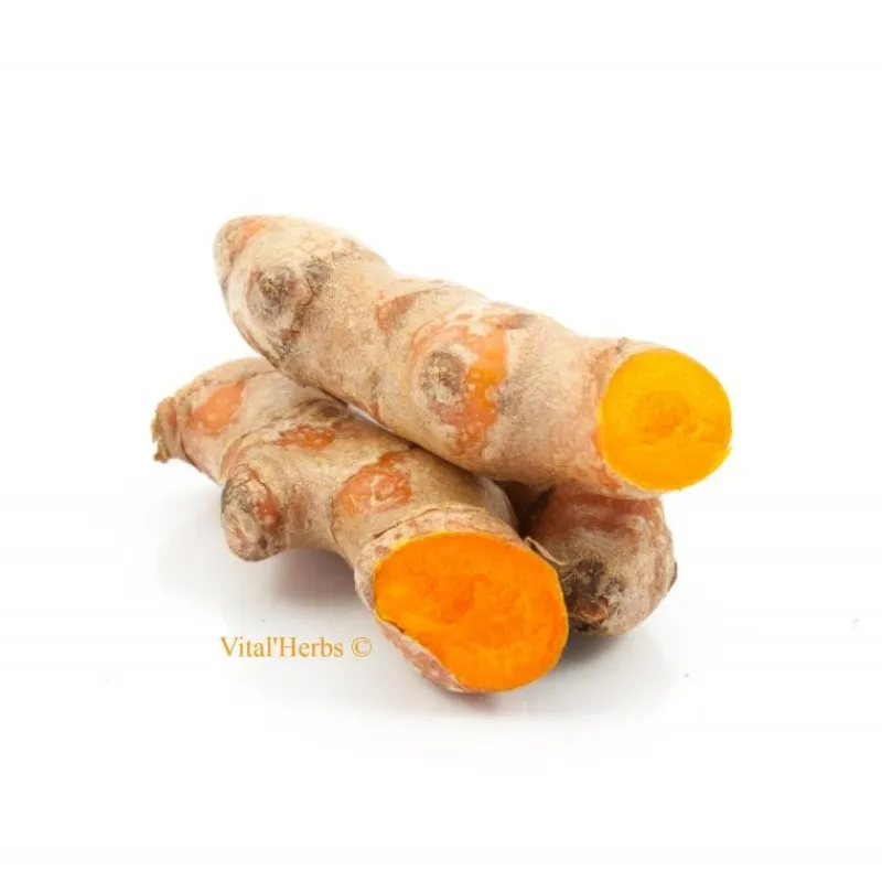 VITAL HERBS Curcuma cheval 100% racines en poudre -< Curcuma|Anti-Inflammatoire Naturel Cheval