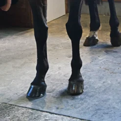 IDS Dalle Clip Horse caoutchouc emboîtable pour box cheval ou aire de pansage -< Tapis De Sols Box Et Écurie