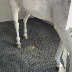 IDS Dalle Clip Super en caouthouc pour douche écurie cheval -< Tapis De Sols Box Et Écurie