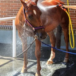 IDS Dalle Clip Super en caouthouc pour douche écurie cheval -< Tapis De Sols Box Et Écurie
