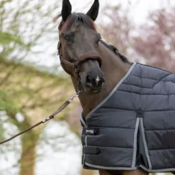 PRO-CONFORT HORSEWEAR Doublure ergonomique cheval Gatsby 100g -< Couvertures De Box|Couvertures D'Extérieur Cheval