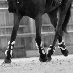 PRO-CONFORT HORSEWEAR Doublure protection mouton cheval Chalou -< Protège-Tendons