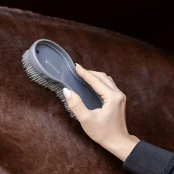 WALDHAUSEN Duo de brosses cheval magique -< Brosses Et Bouchons Cheval