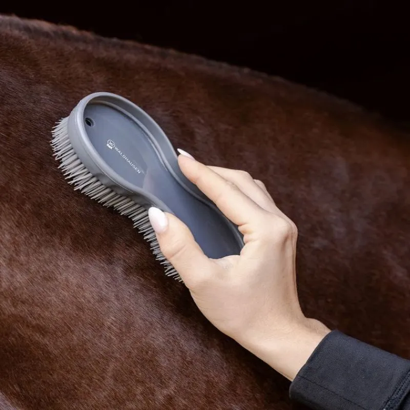 WALDHAUSEN Duo de brosses cheval magique -< Brosses Et Bouchons Cheval