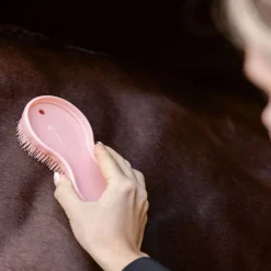 WALDHAUSEN Duo de brosses cheval magique -< Brosses Et Bouchons Cheval