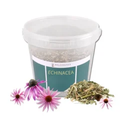 WALDHAUSEN Echinacea Bien-être et immunité cheval 1 kg -< Echinacéa|Système Immunitaire Cheval