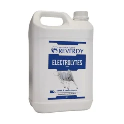 REVERDY Electrolytes liquide cheval 5l -< Electrolytes Cheval