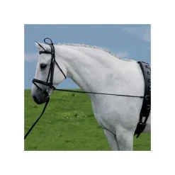 WALDHAUSEN Enrênement élastique extension d'encolure -< Accessoires De Bridon Cheval
