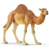 SCHLEICH Figurine Dromadaire -< Horse Club Schleich