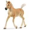 SCHLEICH Figurine Poulain Haflinger -< Horse Club Schleich