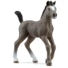 SCHLEICH Figurine Poulain Selle Français -< Horse Club Schleich
