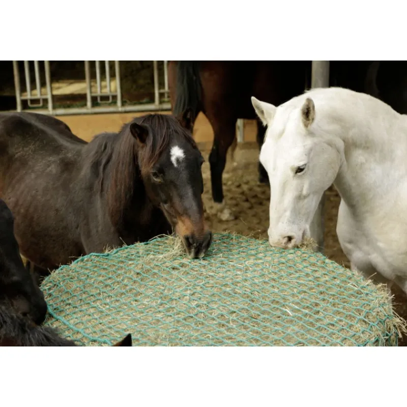 STABLE PRO Filet à foin pour balles rondes grandes dimensions< Matériel De Prairie|Râtelier Foin Chevaux