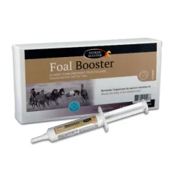 HORSE MASTER Foal Booster 4 seringues 15 ml -< Croissance Poulain Et Jeune Cheval