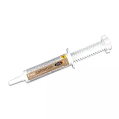 HORSE MASTER Foal Colostrum seringue minéraux poulain Date courte -< Tendons, Articulations Cheval|Produits Soin Cheval Anti- Gaspi