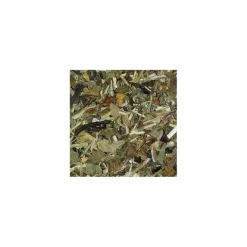 VITAL HERBS Formule résistance cheval Vital'Immune - Vital'Herbs< Système Immunitaire Cheval
