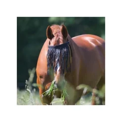 WALDHAUSEN Frontal anti-mouche cheval avec têtière -< Bonnet Anti-Mouche Cheval